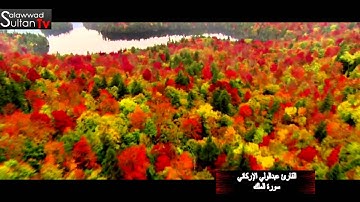 سورة الملك القارئ عبدالولي الإركاني  TVSultan I