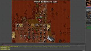 Tibia Scale Armor Quest