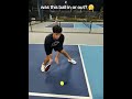 Was This Pickleball Shot In Or Out