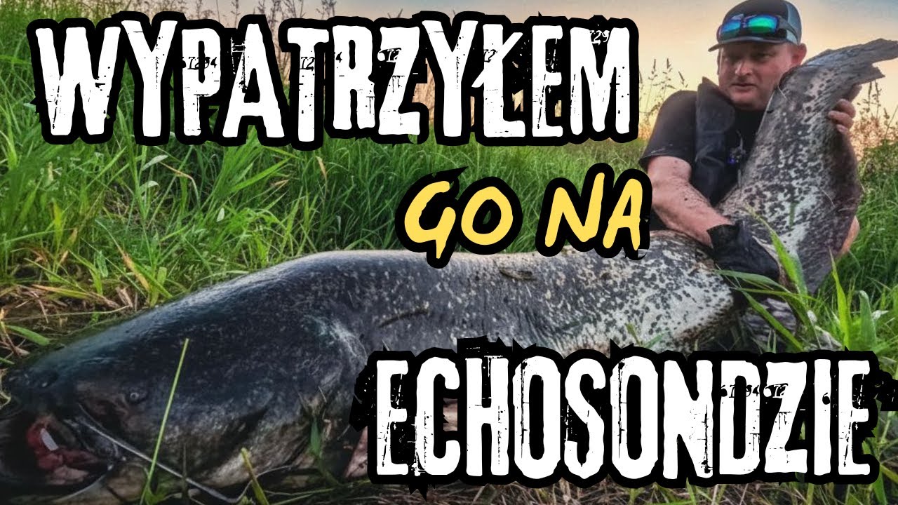 SUMOWY VERTICAL NA ODRZE 2025r | SIADŁO GRUBE SUMISKO odc. 24 #fishing #wędkartswo #catfish #pasja