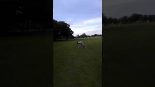 Es metaju salto anglijas parka