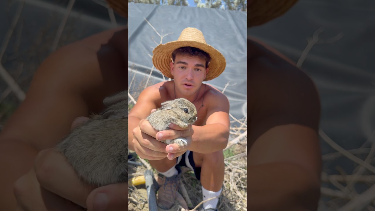 Vuelvo a la misma balsa un mes después… #animales #rescate #viral #shorts