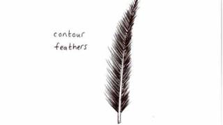 Feather Structure