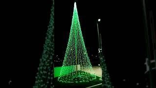 cone tree rgb