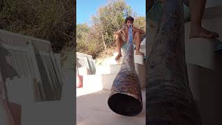 didgiridoo playing #didgeridoo agave didgiridoo in B