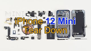 iPhone 12 Mini Teardown-Screen Damaged!!!  Part Comparison with iPhone 12.