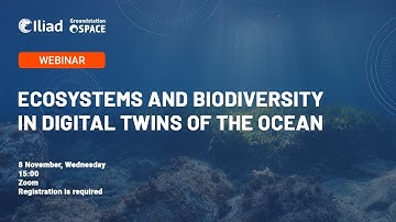 Ecosystems and Biodiversity in Digital Twins of The Ocean