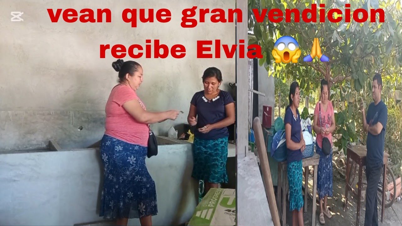 😱Vean cuanto dinero le mandan a Elvia para lo del proyecto de su pila 🙏 