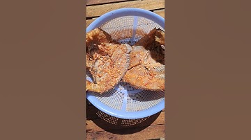 Sau gần một ngày phơi nắng khô cá rô phi đã khô