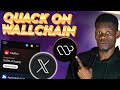 Wallchain Tutorial: How to Quack and Earn Rewards
