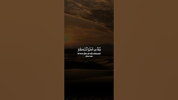 اكتب شيء تؤجر عليه 😴💚 قران كريم | ياسر الدوسري
