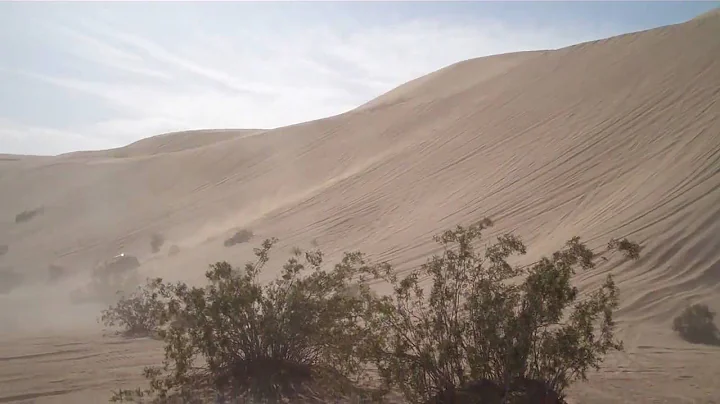 Larry Minor Sand Jeeps take over Patton Valley