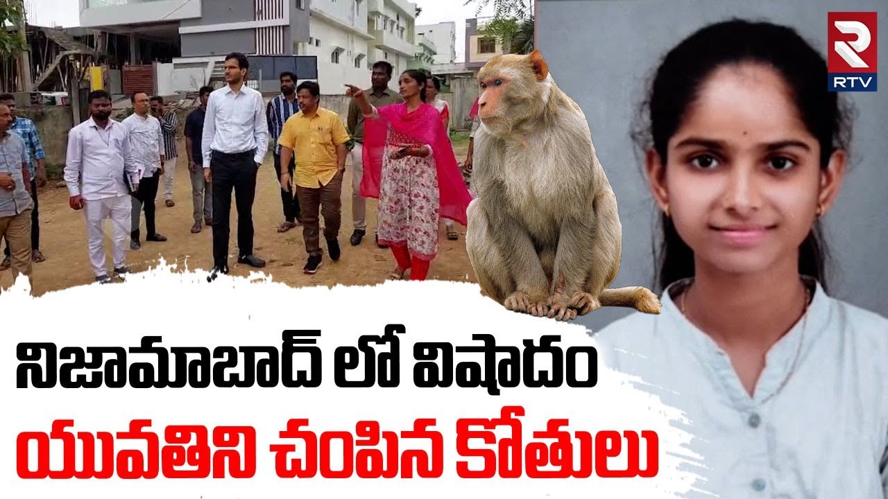 Monkeys Incident in Nizamabad : యువతిని చంపిన కోతులు | Monkey Attack On Girl | RTV
