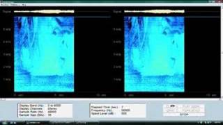 Graz Hidden Spectrogram Image