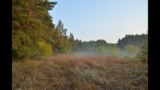 Село Песчанка. Выход 10.08.2019г .