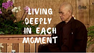 Living Deeply in Each Moment | Dharma Talk by Thich Nhat Hanh, 2013.12.22