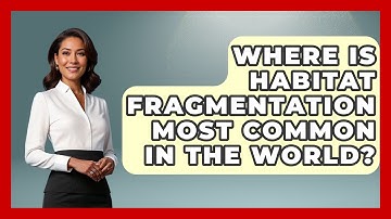 Where Is Habitat Fragmentation Most Common in the World? | Explaining Ecology News
