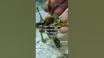 Pria ini Santap Makanan Terakhir dari Ibu yang Meninggal @TribunLampungOfficial