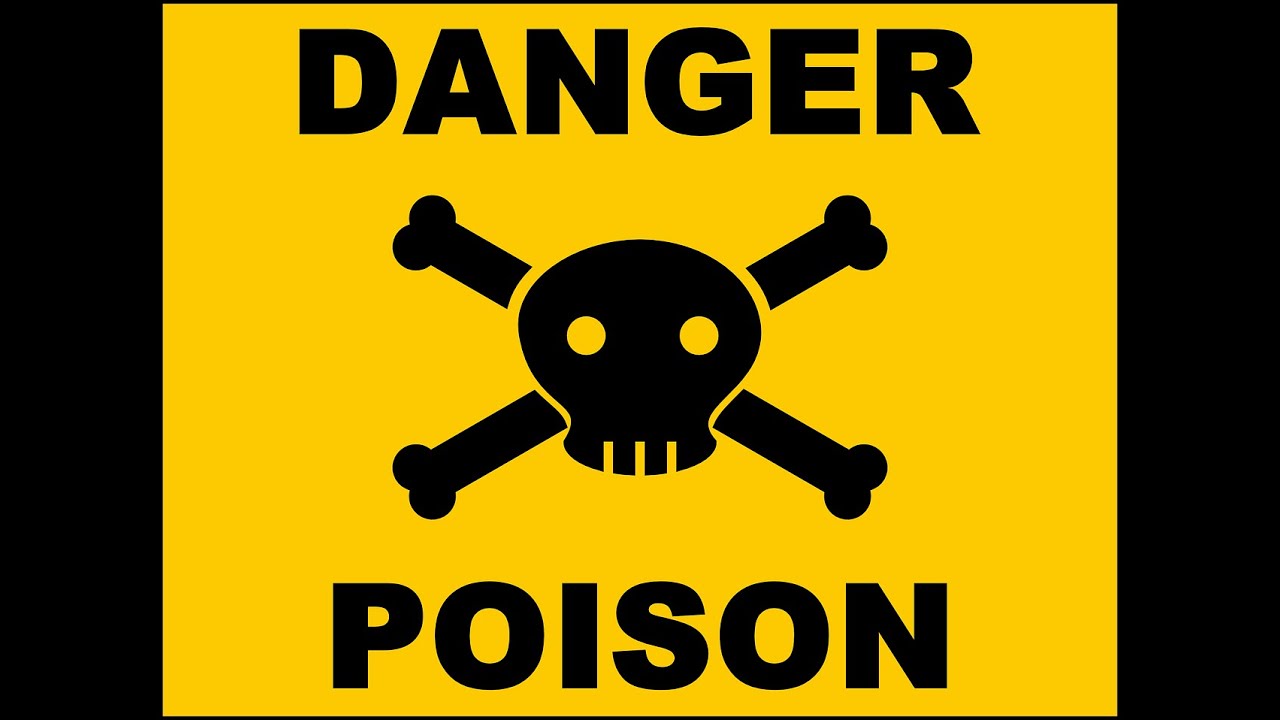 Steely Dan Black Cow Funk Soul Type Beat