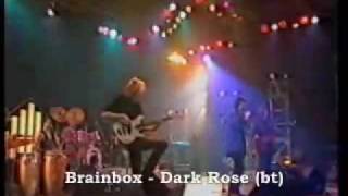 Brainbox Dark Rose live