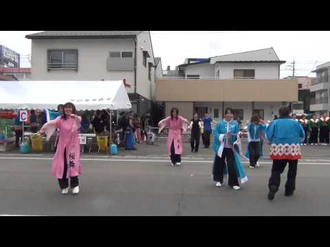 益田祭り2014　　よさこい連～忍～ｗｉｔｈあとう桜舞