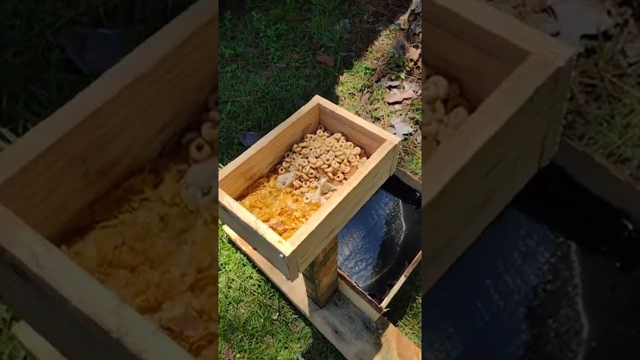 next level squirrel feeder.