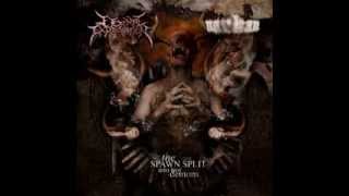 Eternal Exhumation / Narkan - The Spawn Split into two demons -Split (2011)