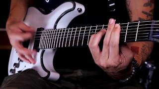 Dagoba - Stone Ocean (official guitar playthrough)