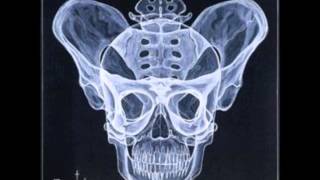funny x rays screenshot 1