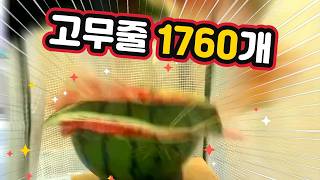 고무줄 1760개 만에 터진 수박 #hololive #兎田ぺこら