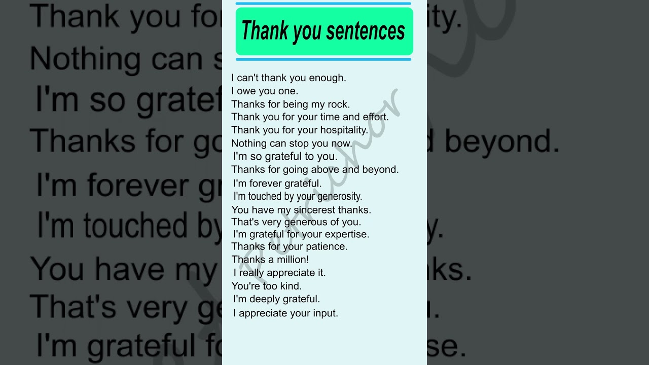 Thank You Sentences 