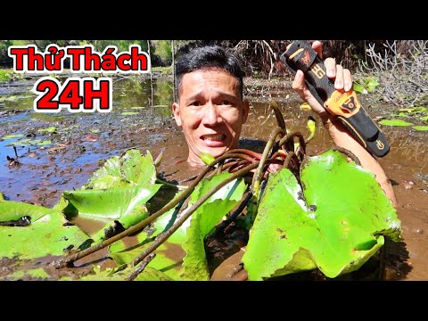 Video: Cách đi Bộ Trong đầm Lầy