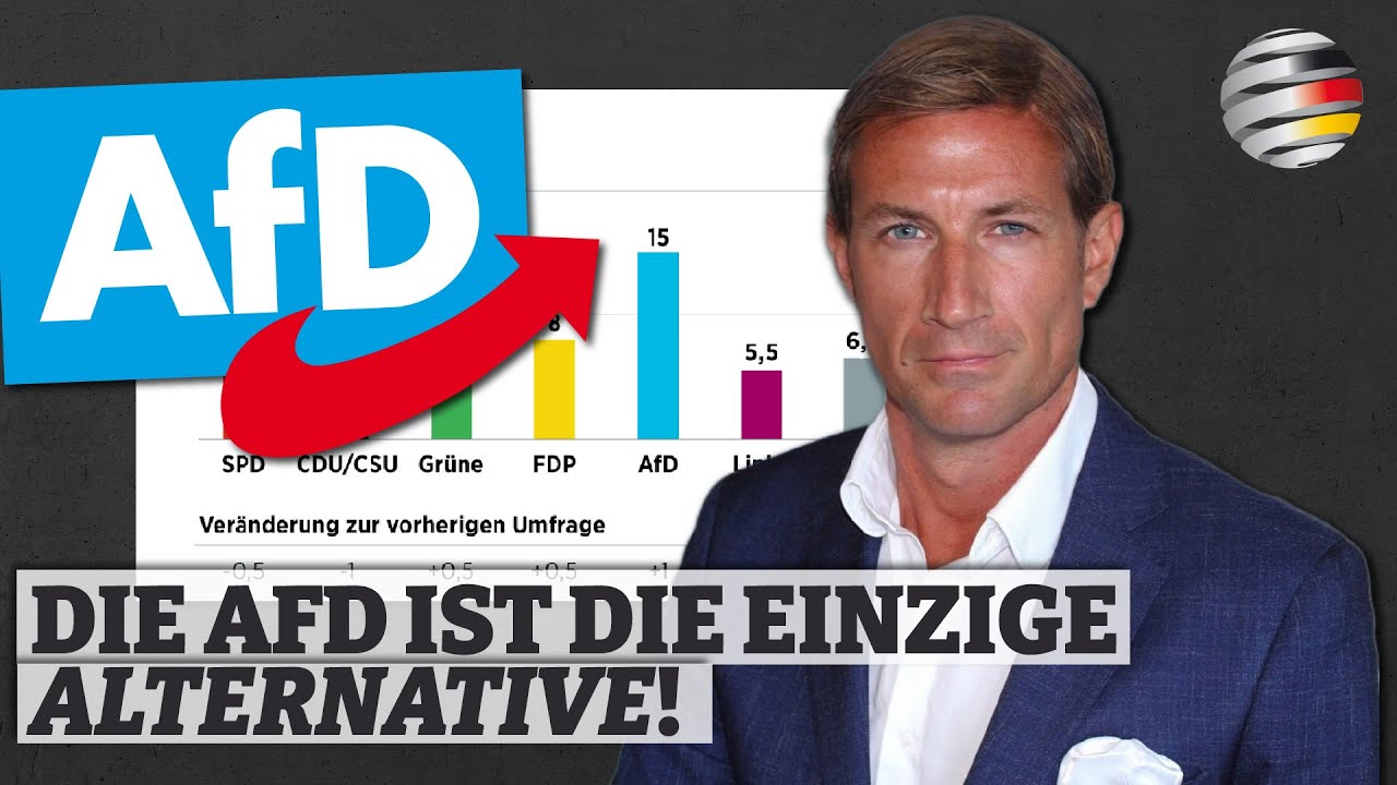 Die AfD ist die einzige Alternative! | Ein Kommentar von Alexander von ...