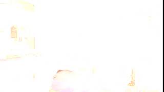 Ufo alien abduction in 11 seconds time lapse recording of 150 minutes.