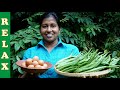 Village Style Okra Fry Recipe ❤ Cooking Okra with Eggs | Village Life