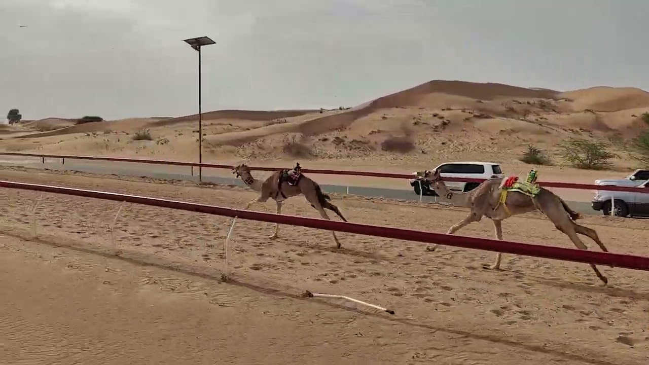 ش12مشوق - حمد عبد الله حسن احمد المرزوقي 7:44