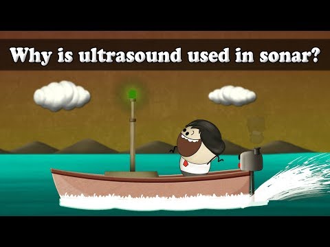 Video: Mengapa ultrasound dilakukan?