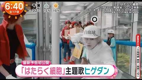 【はたらく細胞】　主題歌　Official髭男dism「50%」
