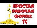 Лучшие способы заработка на форекс без вложений. Реально более 100$ за день