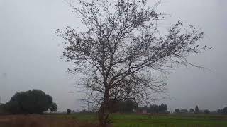 No Copyright© Video||Royalty free Video||Nature Background Video||Full HD||QKK||No Claim