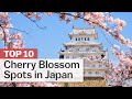 Top 10 Cherry Blossom Spots in Japan
