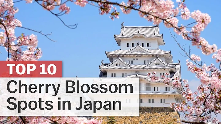 Top 10 Cherry Blossom Spots in Japan | japan-guide.com - DayDayNews