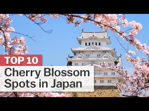 जापान में शीर्ष 10 चेरी ब्लॉसम स्पॉट | japan-guide.com