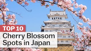 Top 10 Cherry Blossom Spots in Japan | japan-guide.com