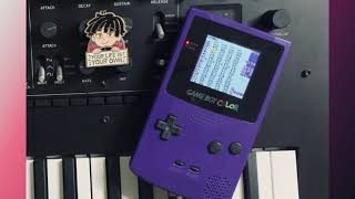 Selkies The Endless Obsession 8Bit Gameboy Version