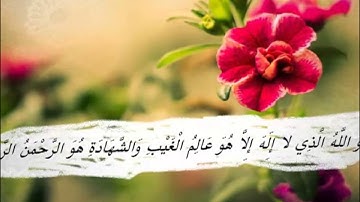 تلاوة اواخر سورة الحشر - صوت روعة