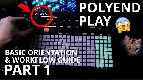 Basic Orientation & Workflow Guide Pt. 1 // Polyend Play Tutorial