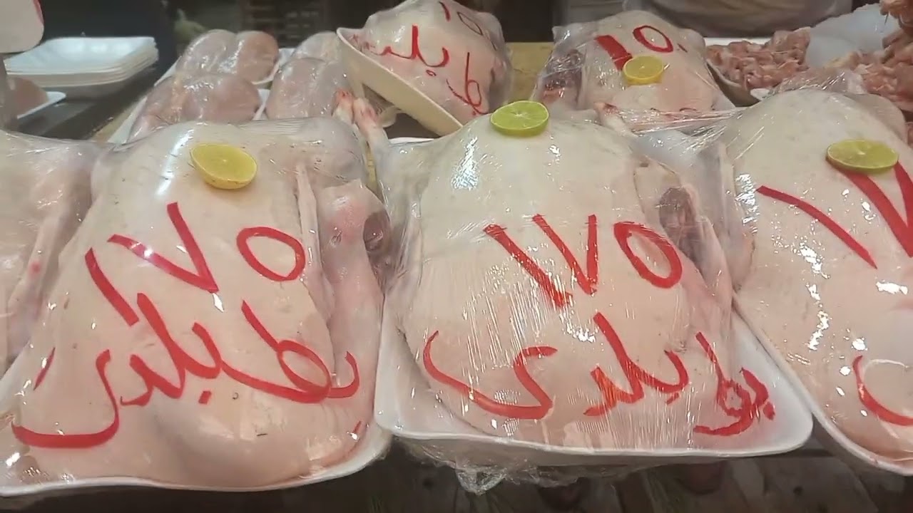 الحقو العرض الفرخه ب ١٢٠ جنيه ابو يوسف بيضحي وكل يوم عرض جديد🤩🐥🐥🐥🐥🐥🐥🐥🎀