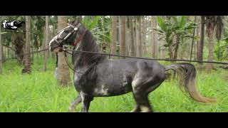 Aruls Tamil Udhiram தமழ உதரம