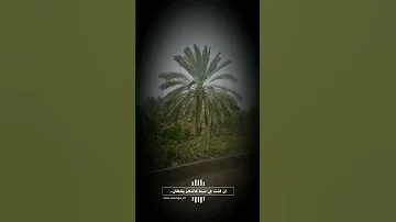 في طيه عبر 